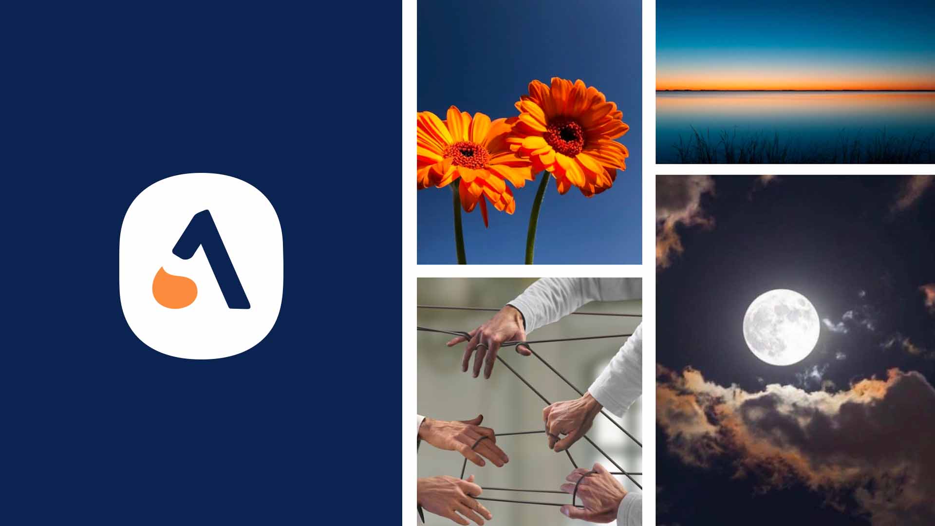 moodboar et inspirations avec des images de personnes en lien, une fleur grandissant orange, un horizon