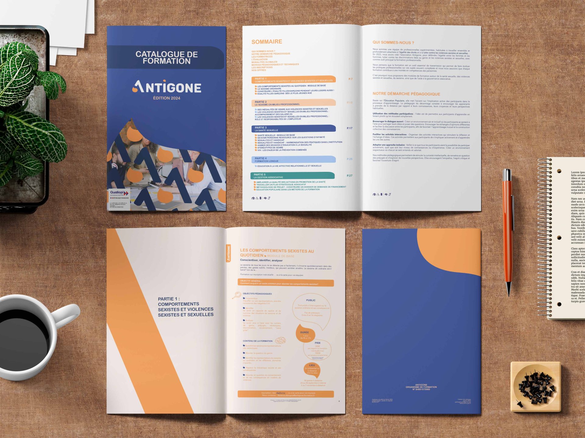 Présentation d'un cataloge avec des exemples des pages pour montrer la disposition et le travail de chaque page